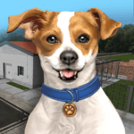 Animal Shelter Simulator (MOD VIP) 1.368