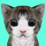 Cat Simulator Online MOD Unlimited Money 37