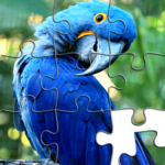 Jigsaw Puzzles (MOD Unlimited Coins) 3.177