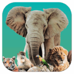 Ark Nova MOD Unlimited Money 1.0.2