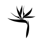 Beauty Society MOD Unlocked All 1.0.10