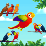 Bird Sort – Color Birds Game MOD Unlimited Money 1.3.7