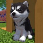 Cute Pocket Puppy 3D (MOD Unlimited Money) 1.10.3