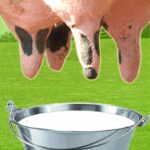 Farm Milk The Cow MOD Unlimited Money 3.0.2