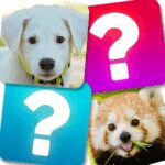 Match Game (MOD Unlimited Coins) 10.6