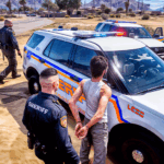 Open World Police Car Game (MOD Unlimited Coins) 1.3