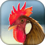 Real Animal sounds MOD Unlimited Money 1.9