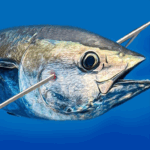 Spearfishing Simulator MOD Unlimited Money 6.3