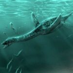Plesiosaurus Simulator MOD Unlimited Money 1.2.5