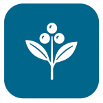 Buna Tips (MOD Unlocked All) 1.0.0