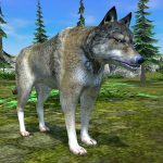 Wolf Simulator (MOD Unlimited Money) 1.0.62