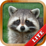 Animals for Kids (MOD Unlimited Money) 9.6.2