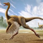 Gallimimus Simulator (MOD Unlimited Money) 1.2.6