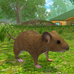 Mouse Simulator  (MOD Unlimited Money) 1.53