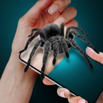 Spider on My Hand Joke (MOD Unlimited Money) 1.9