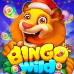 Bingo Wild (MOD Unlimited Money) 1.5.4