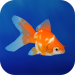 Goldfish 3D Relaxing Aquarium (MOD Unlimited Money) 2.55