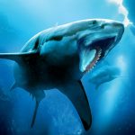 Helicoprion Simulator (MOD Unlimited Money) 1.3.0
